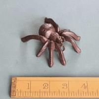 Cast iron tarantula ornament.